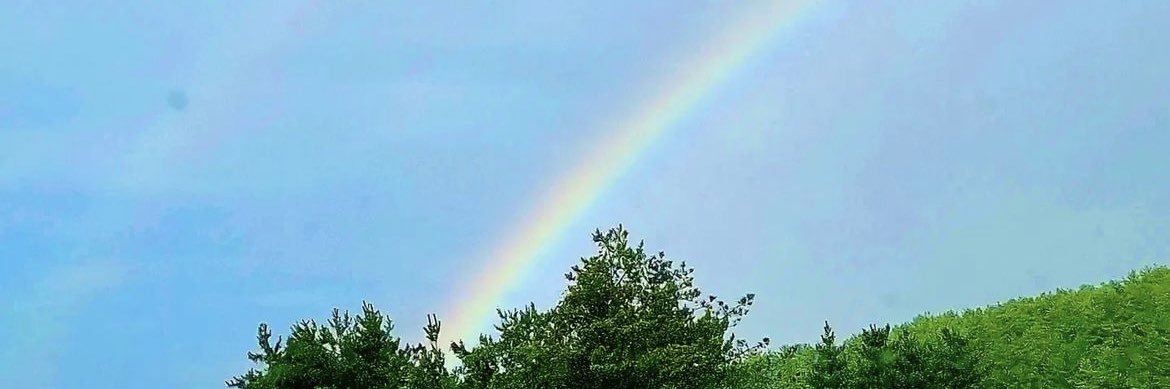 컬러마이월드 banner