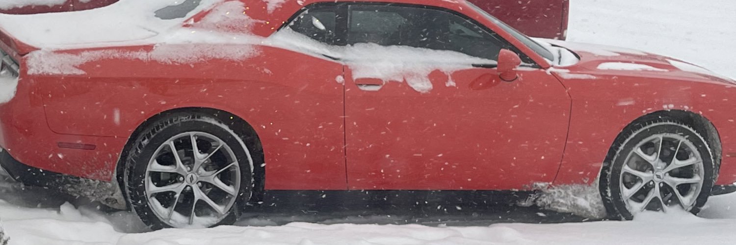 nosnookyhere's profile banner image