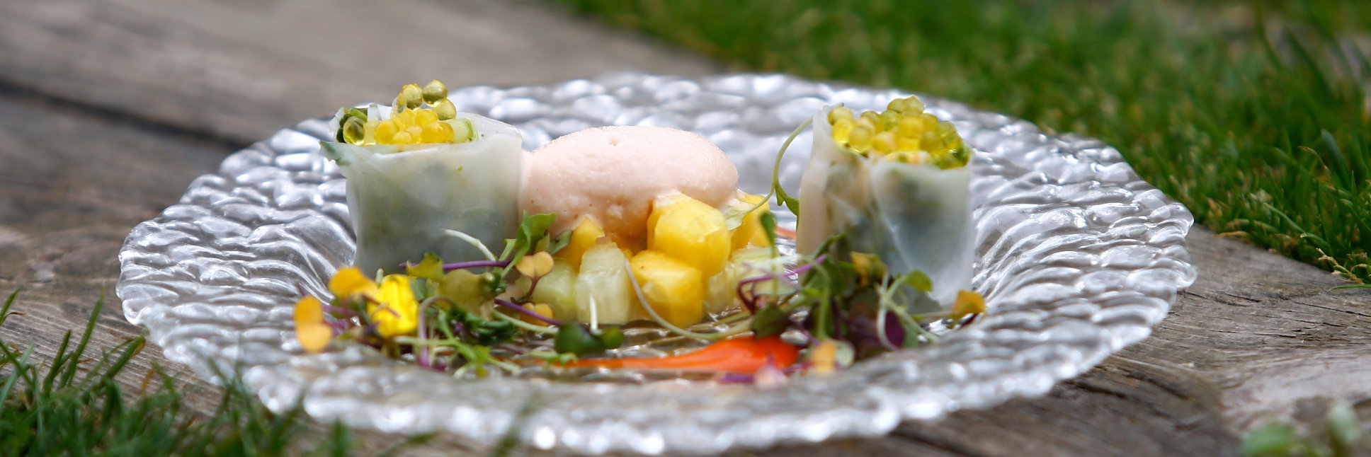 Molí de l’Escala banner