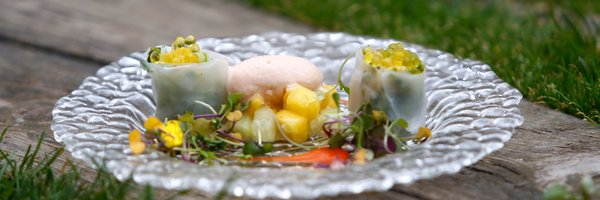 MoliEscala Profile Banner