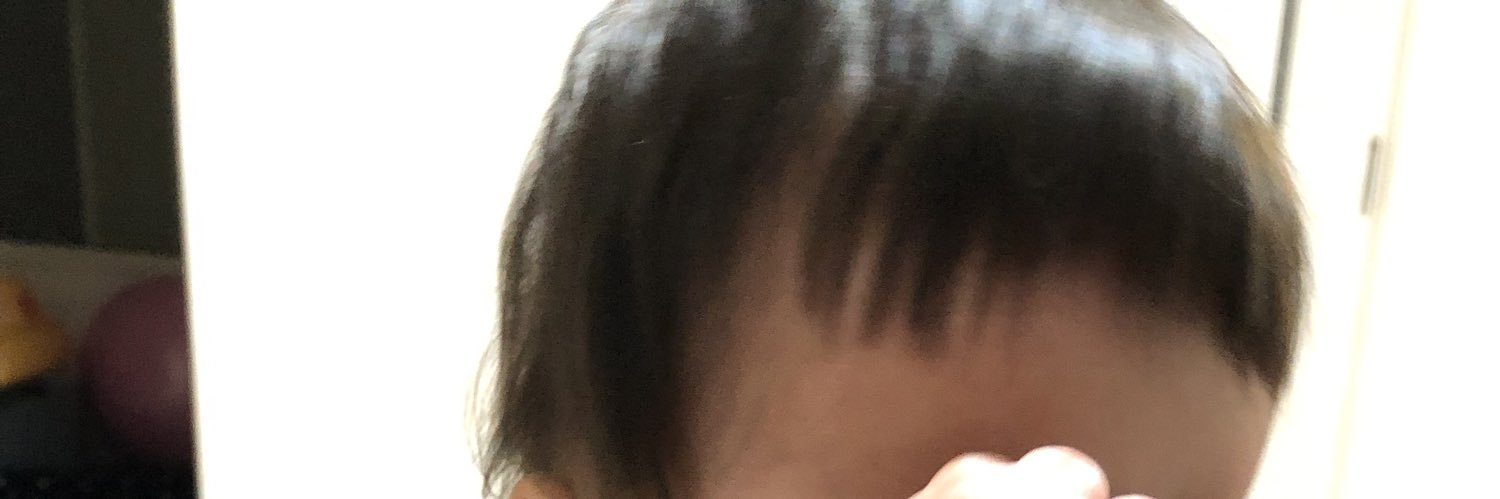 DJオットピン banner