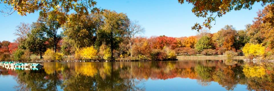 GoElizNJ's profile banner image