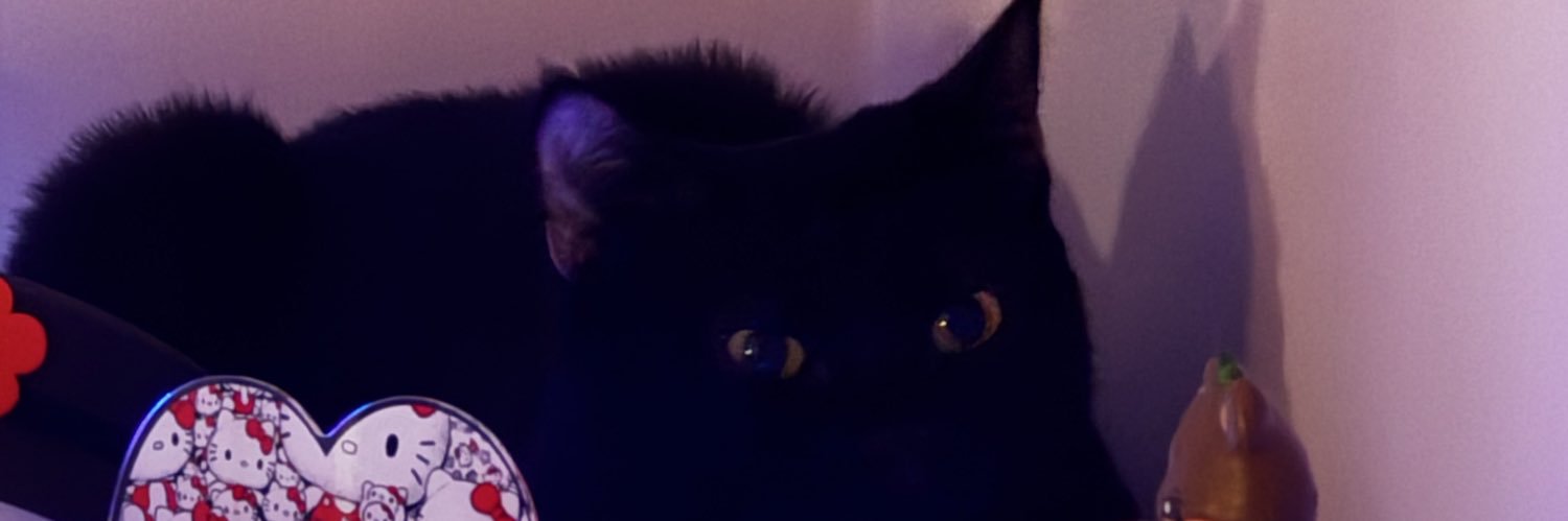 AmiCasley's profile banner image