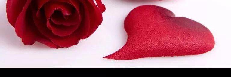 esimsik15's profile banner image
