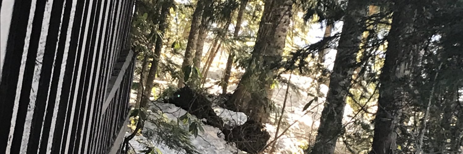 ZionBell21's profile banner image