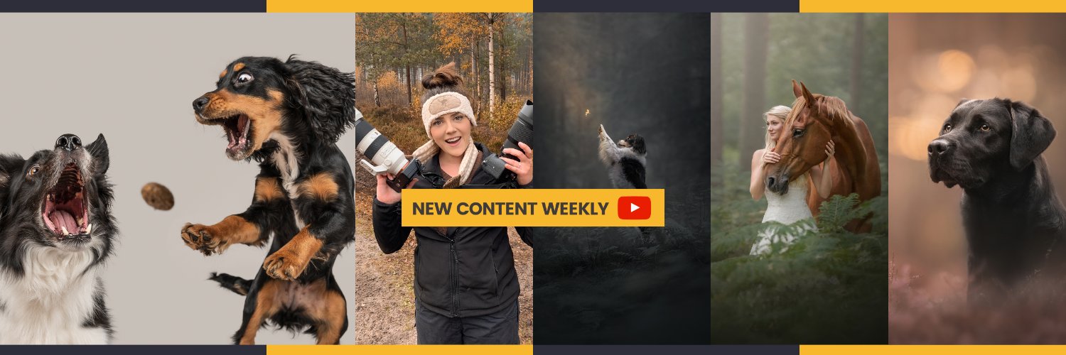 ThatTogSpot's profile banner image
