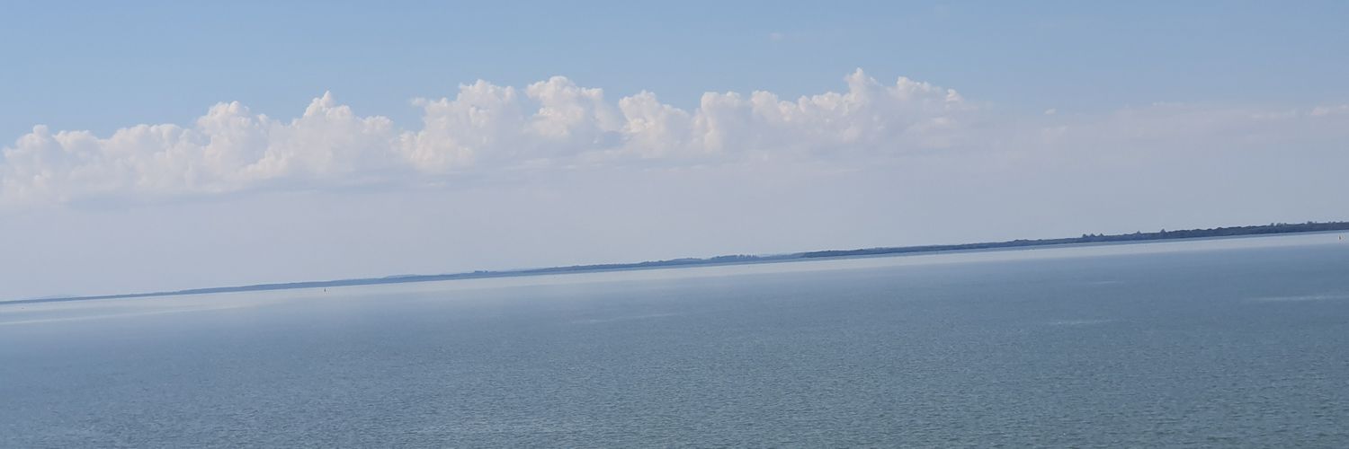 Jania banner