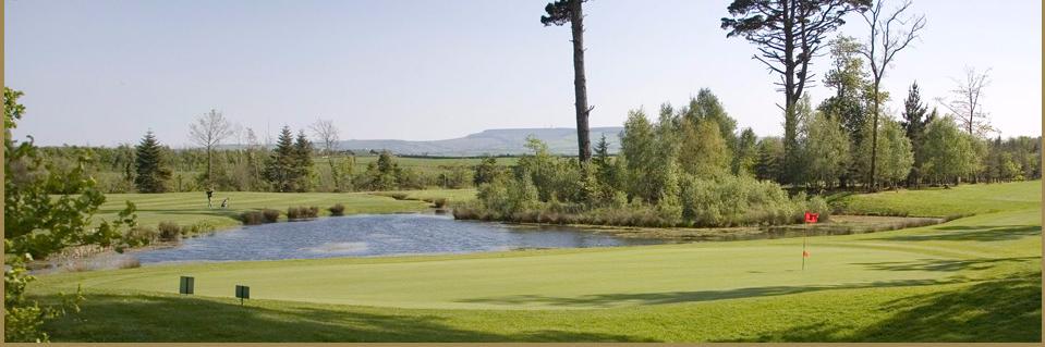 Gowran Park Golf Club banner