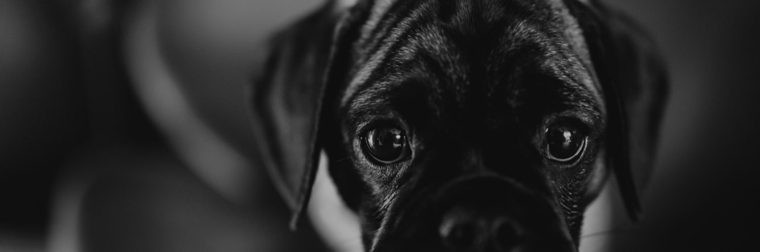 MrsPretzel8's profile banner image