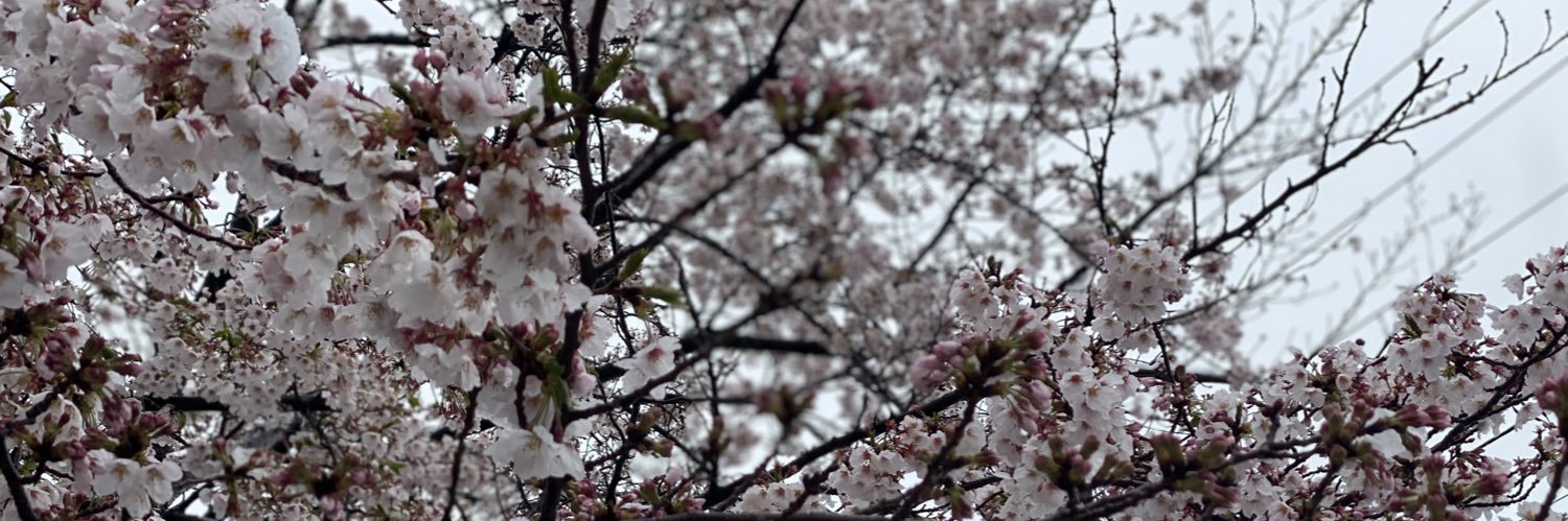 siryu0902's profile banner image