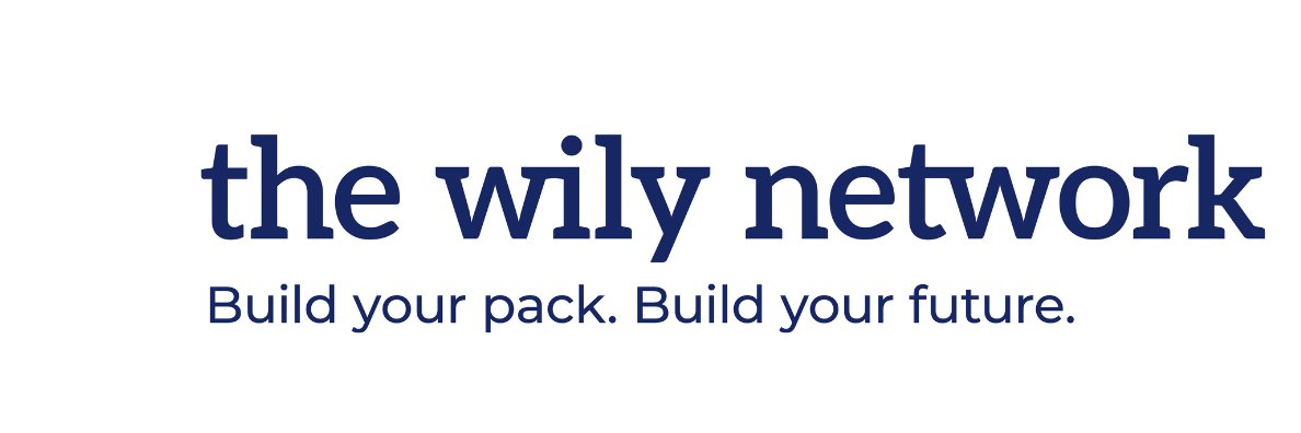 TheWilyNetwork's profile banner image