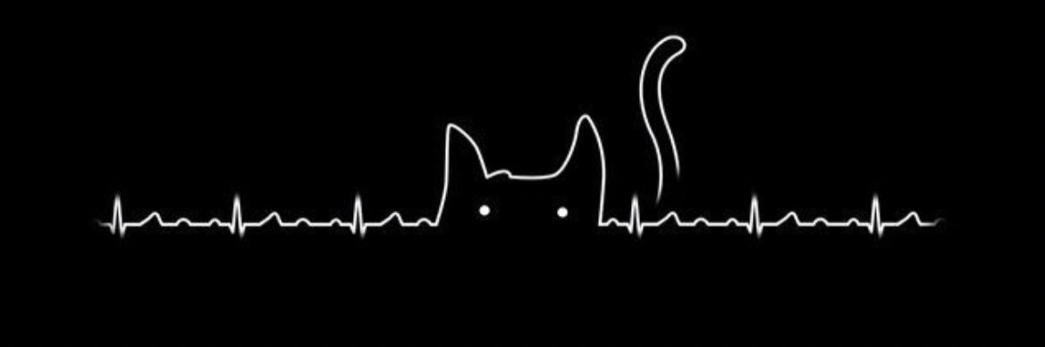frangidani's profile banner image