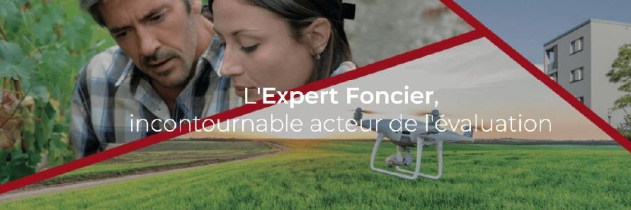 ExpertsFonciers's profile banner image