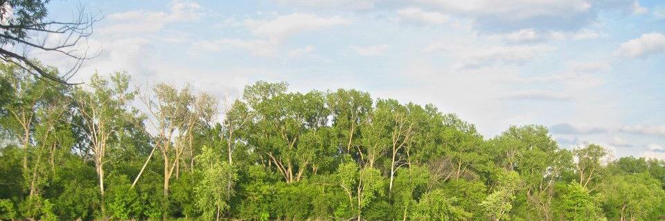 CoryKimble's profile banner image