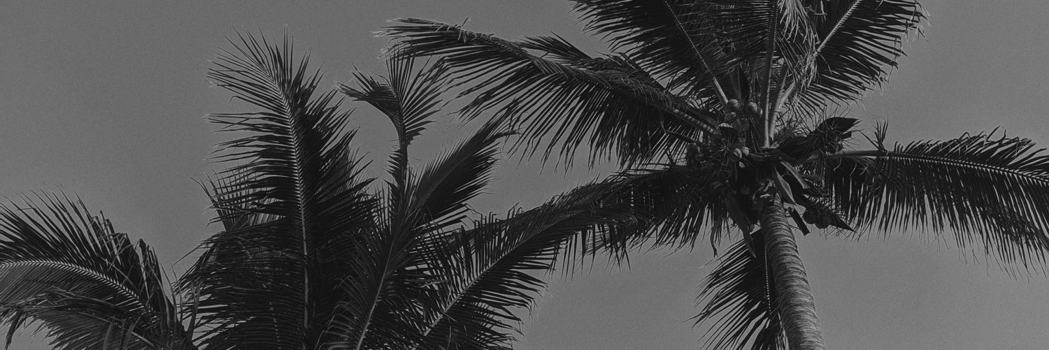 kikesanz273's profile banner image