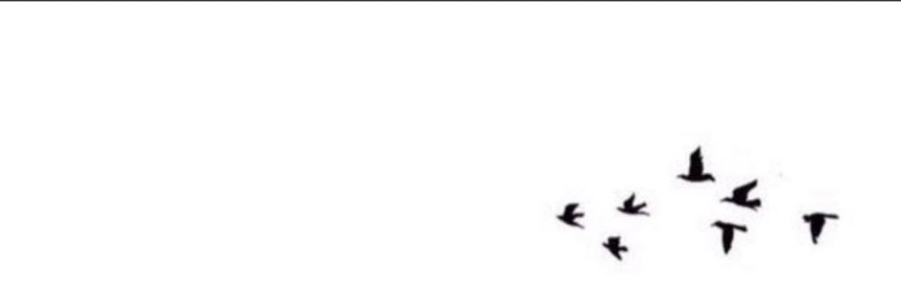 ' banner