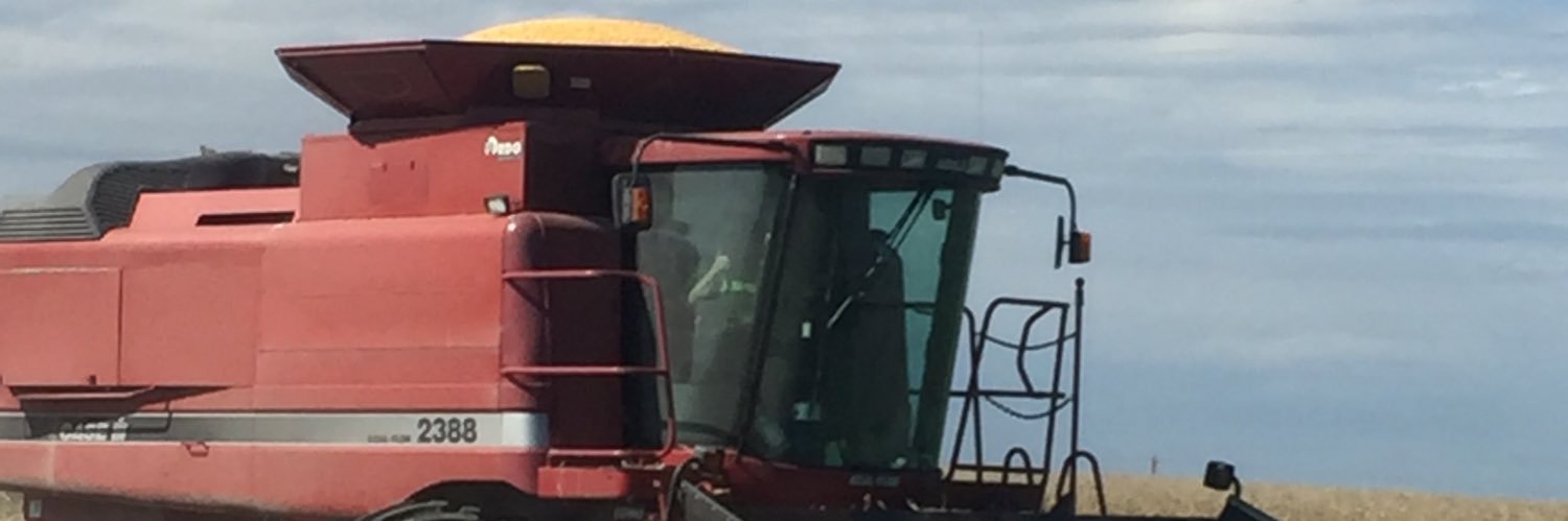 jimbo banner