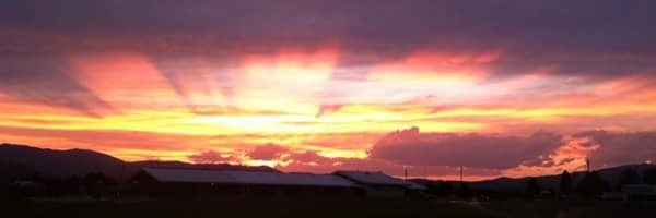 marama_ann's profile banner image