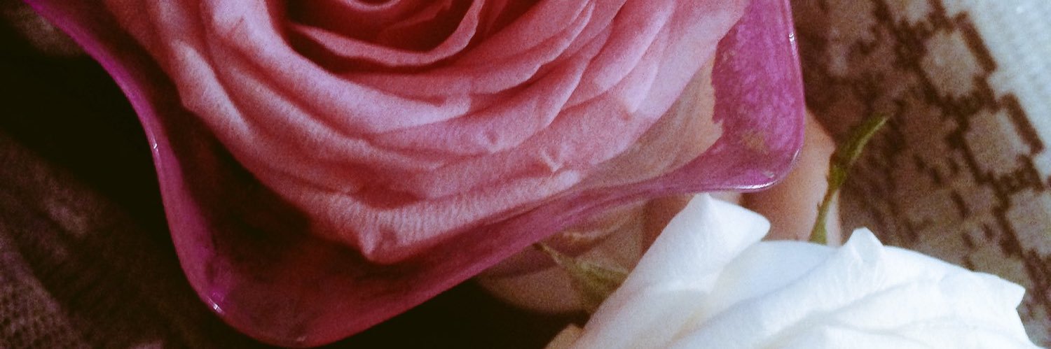 bbmiau__'s profile banner image