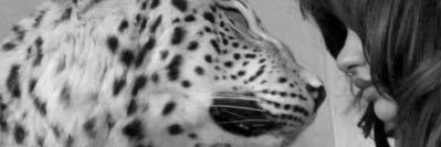 reiwfz's profile banner image
