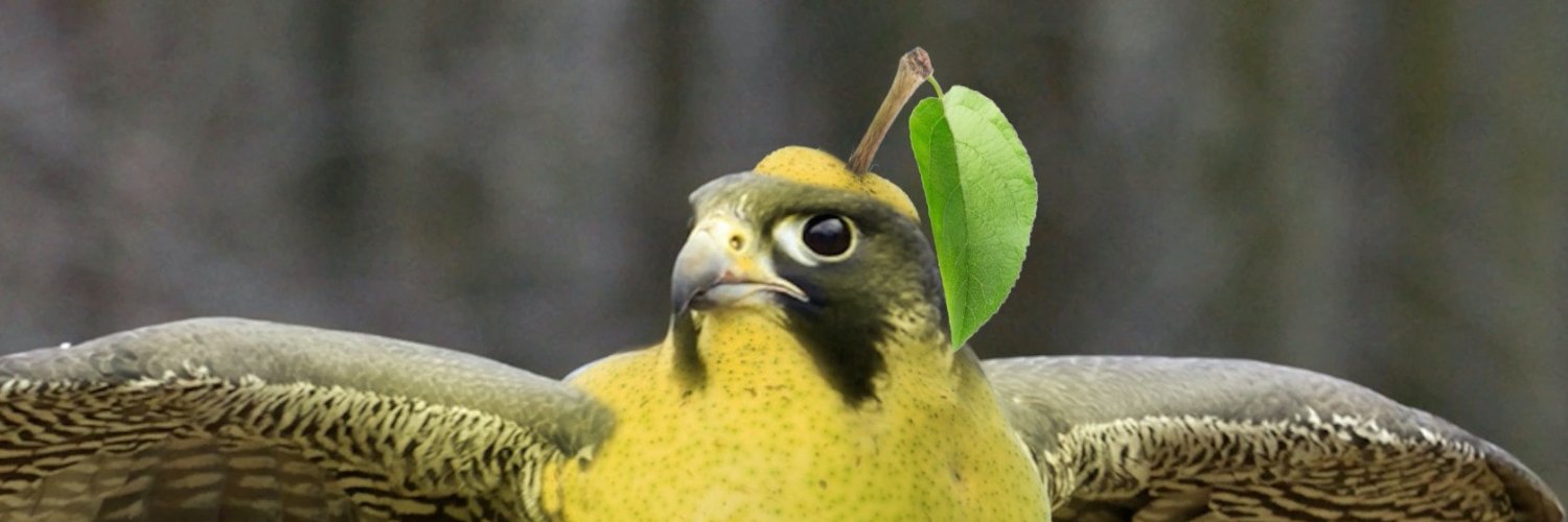 Pear_egrine's profile banner image