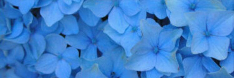 AmAmalaf's profile banner image