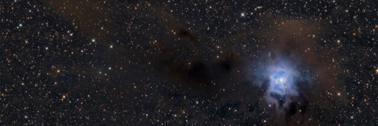 ThisIsEllla's profile banner image
