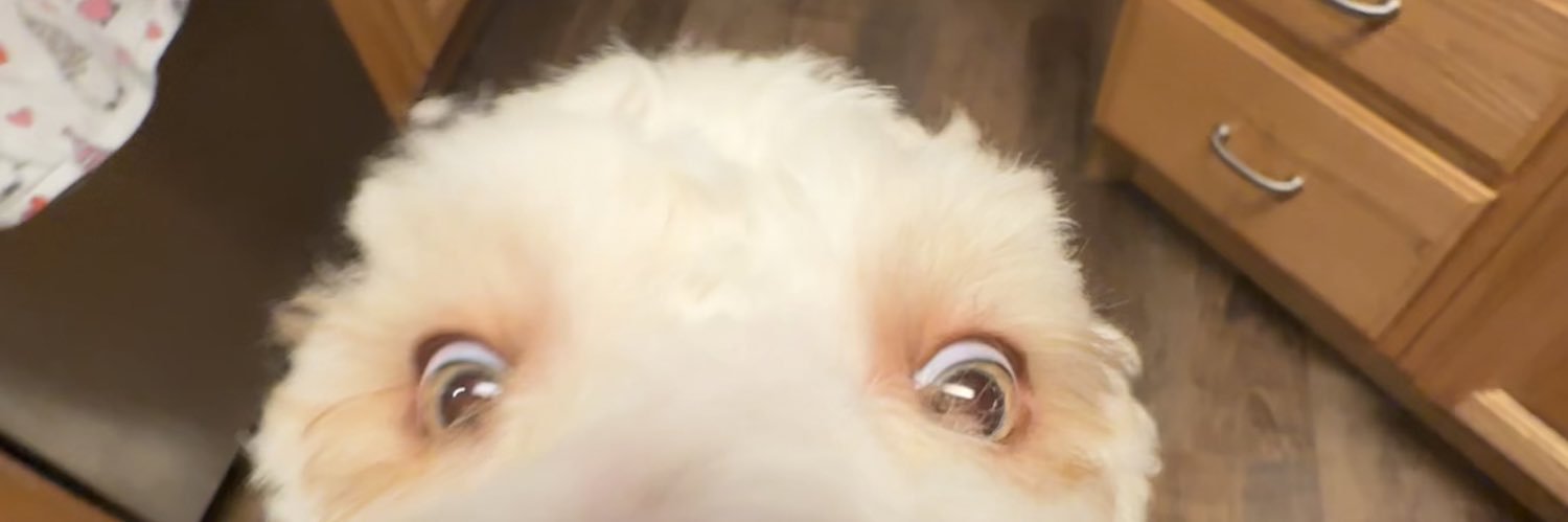 sam_corn4th's profile banner image