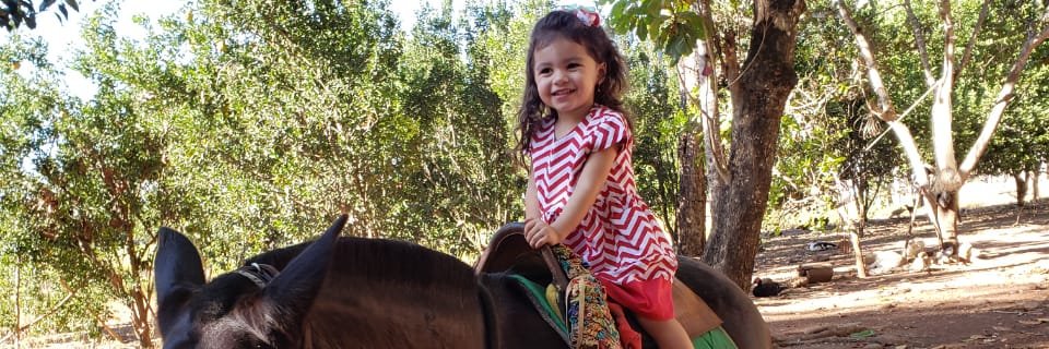 AdlaiMarques's profile banner image