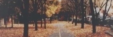 abby_doss's profile banner image