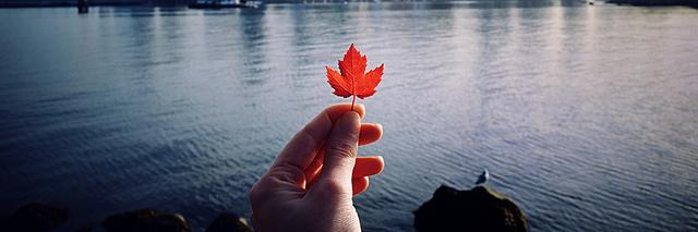 Visit_Edmonton's profile banner image