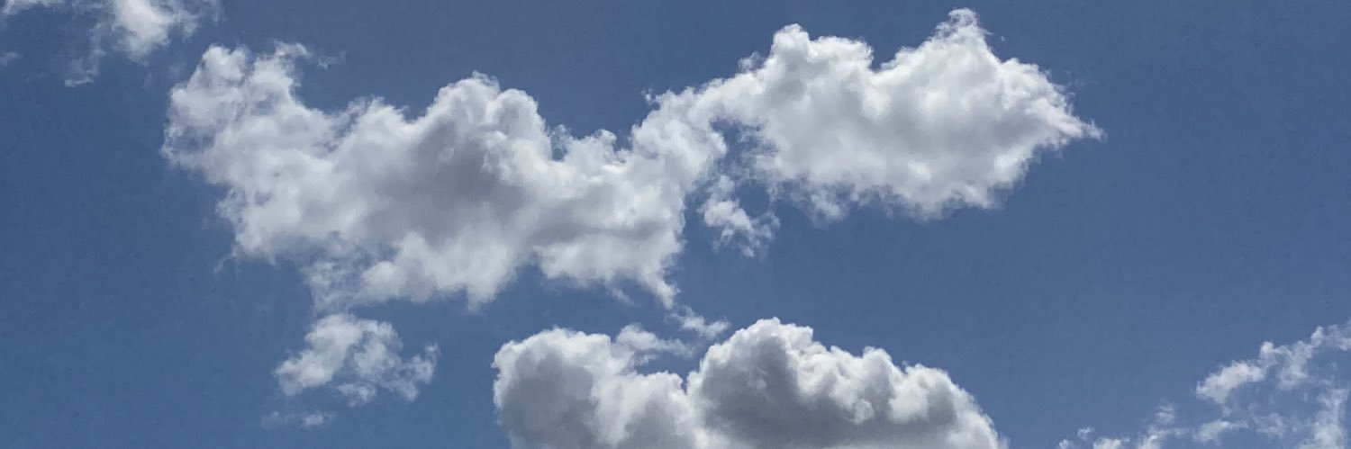 laurmallry's profile banner image