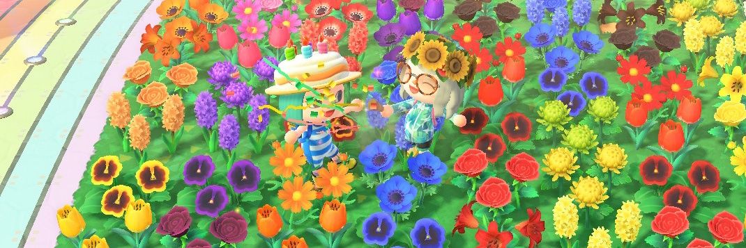 banana lipgloss appreciator banner