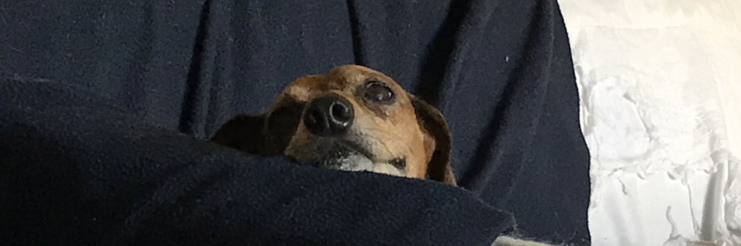 MWlovesJC's profile banner image