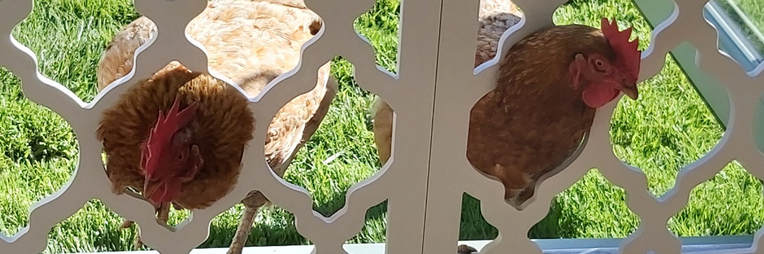 Maureen Mills banner