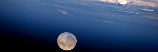 stephendbswan Profile Banner