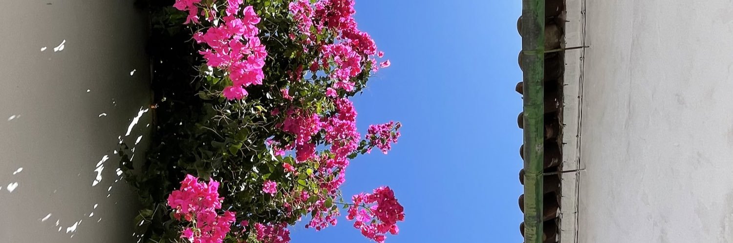 fuensola's profile banner image