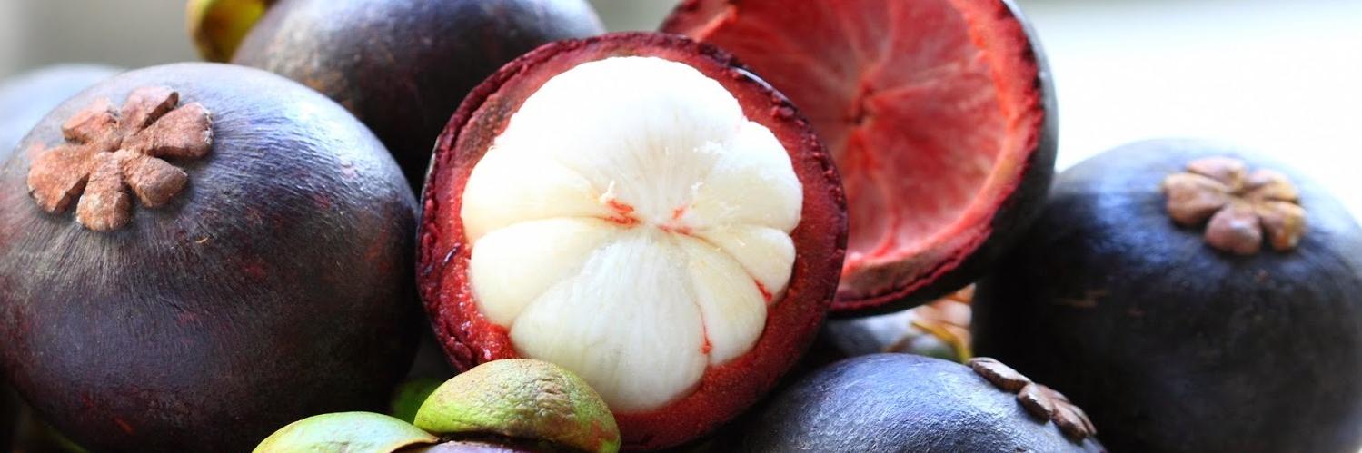 JavaFresh_Fruit's profile banner image