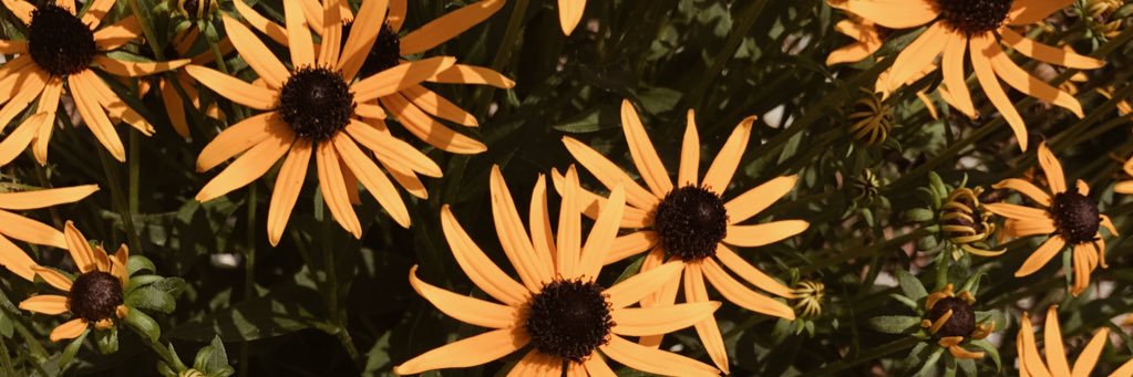 myaajohnson's profile banner image