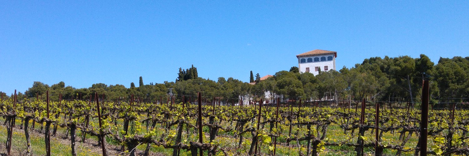 Amics del Claver banner