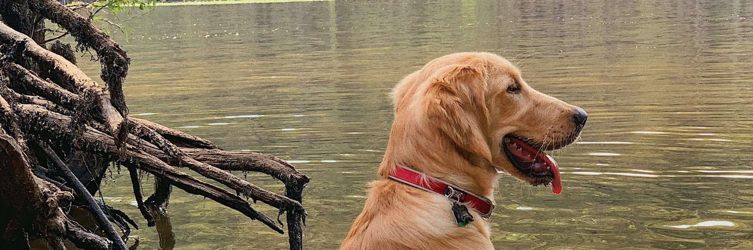 brookefisher___'s profile banner image