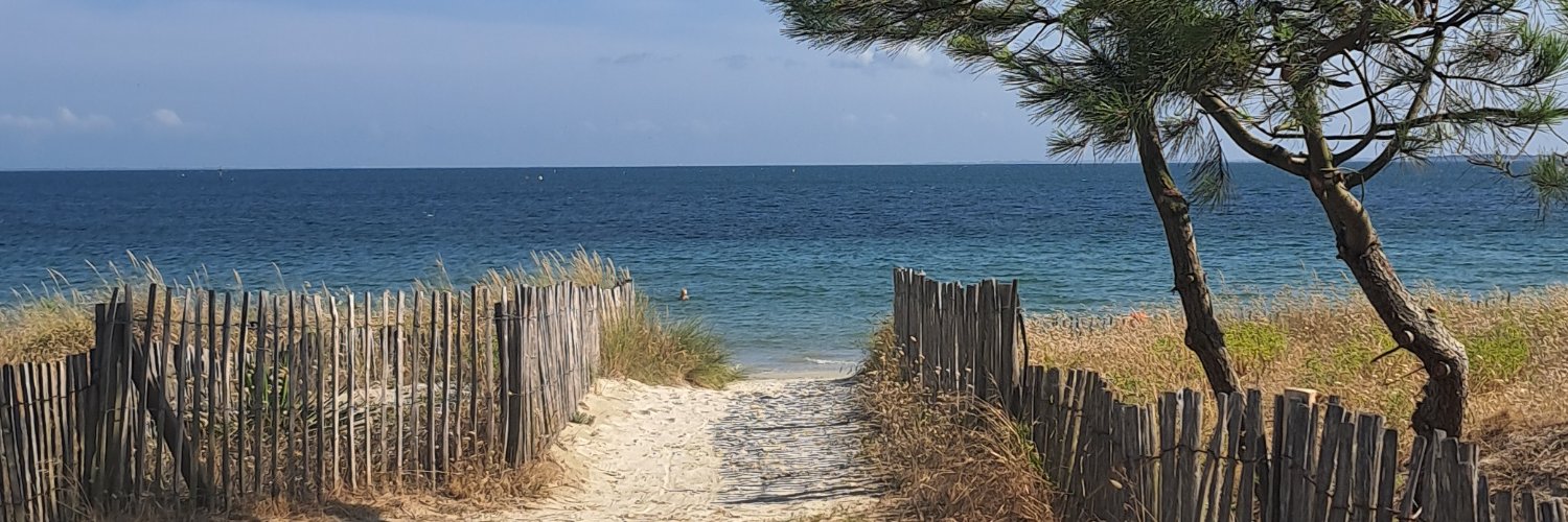 Sarah Freeman de Malavé banner