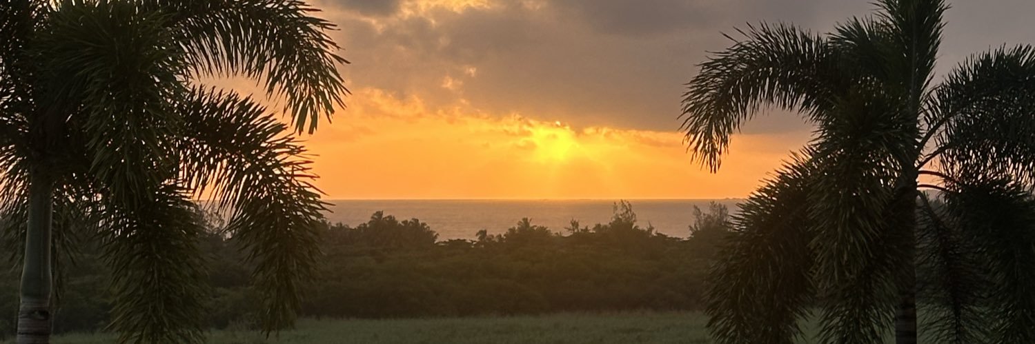 flowerb0mb__'s profile banner image