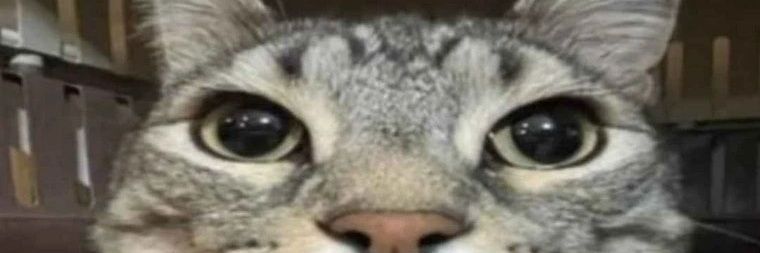 PureVessel_'s profile banner image