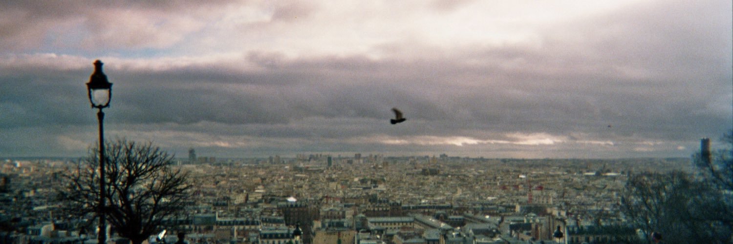 dstcapucine's profile banner image