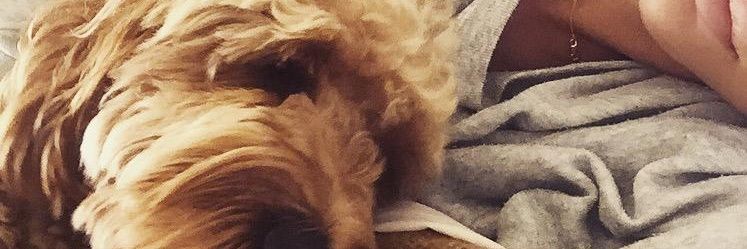 elstimeline's profile banner image