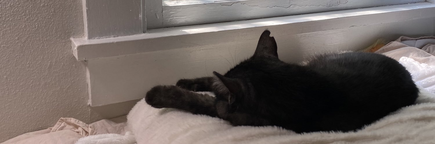 EllieWheeler11's profile banner image