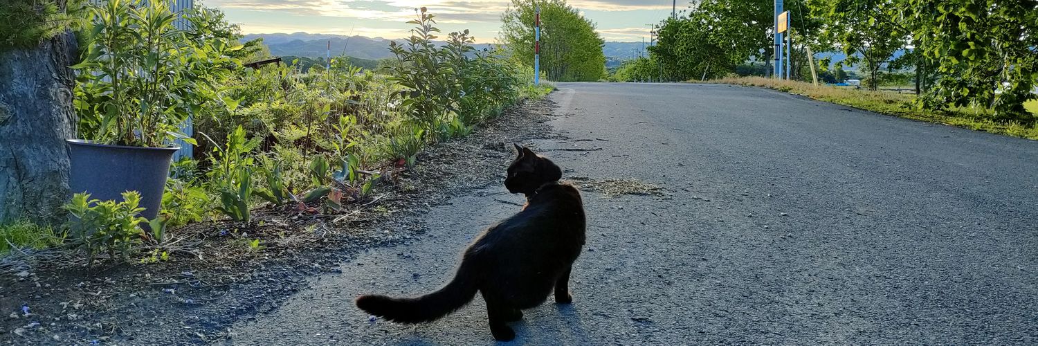 びぢー🐾໊🐾໊🐾໊໊ banner