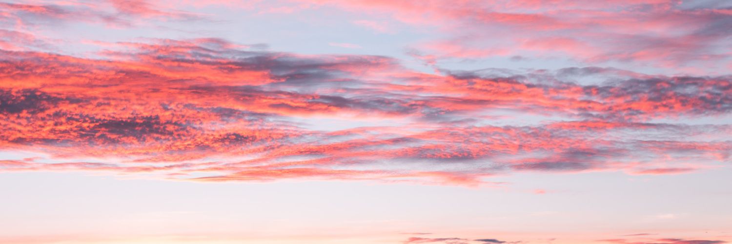 anasofi01338358's profile banner image