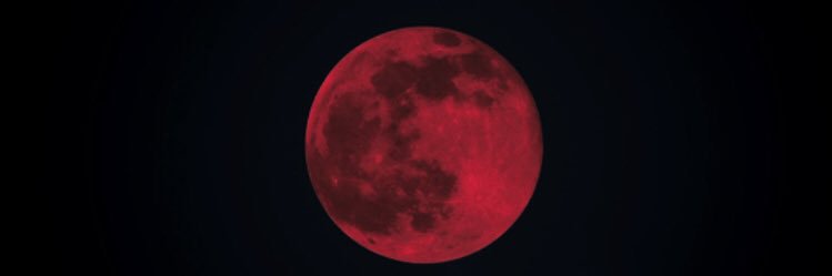_leorex's profile banner image
